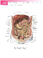 Sobotta  Atlas of Human Anatomy  Trunk, Viscera,Lower Limb Volume2 2006, page 173